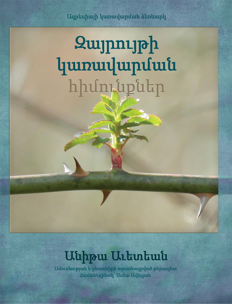 Book cover Anger Management Essentials Armenian Edition